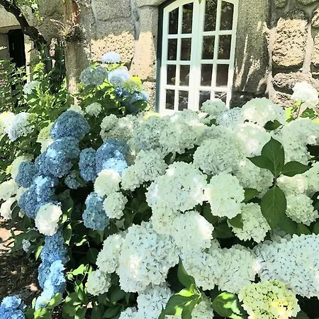 Beautiful Holiday In Paredes De Coura Gasthof *
