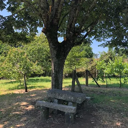 Beautiful Holiday In Paredes De Coura Viana do Castelo